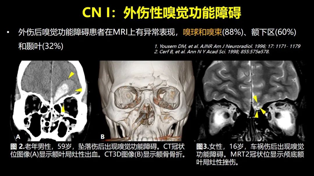 qw8.jpg