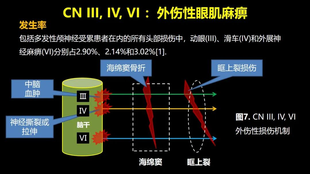 qw11.jpg