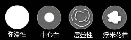 50bf6b77-b3ec-48c3-992e-fe1d59d97a95.png