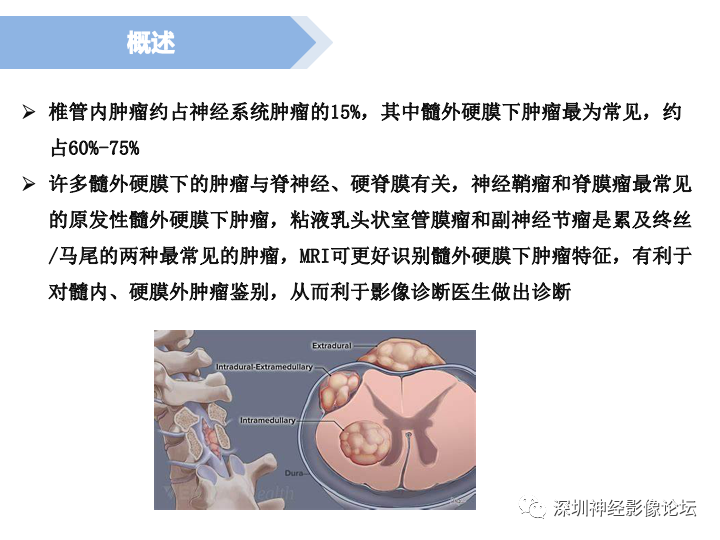 qw2.jpg