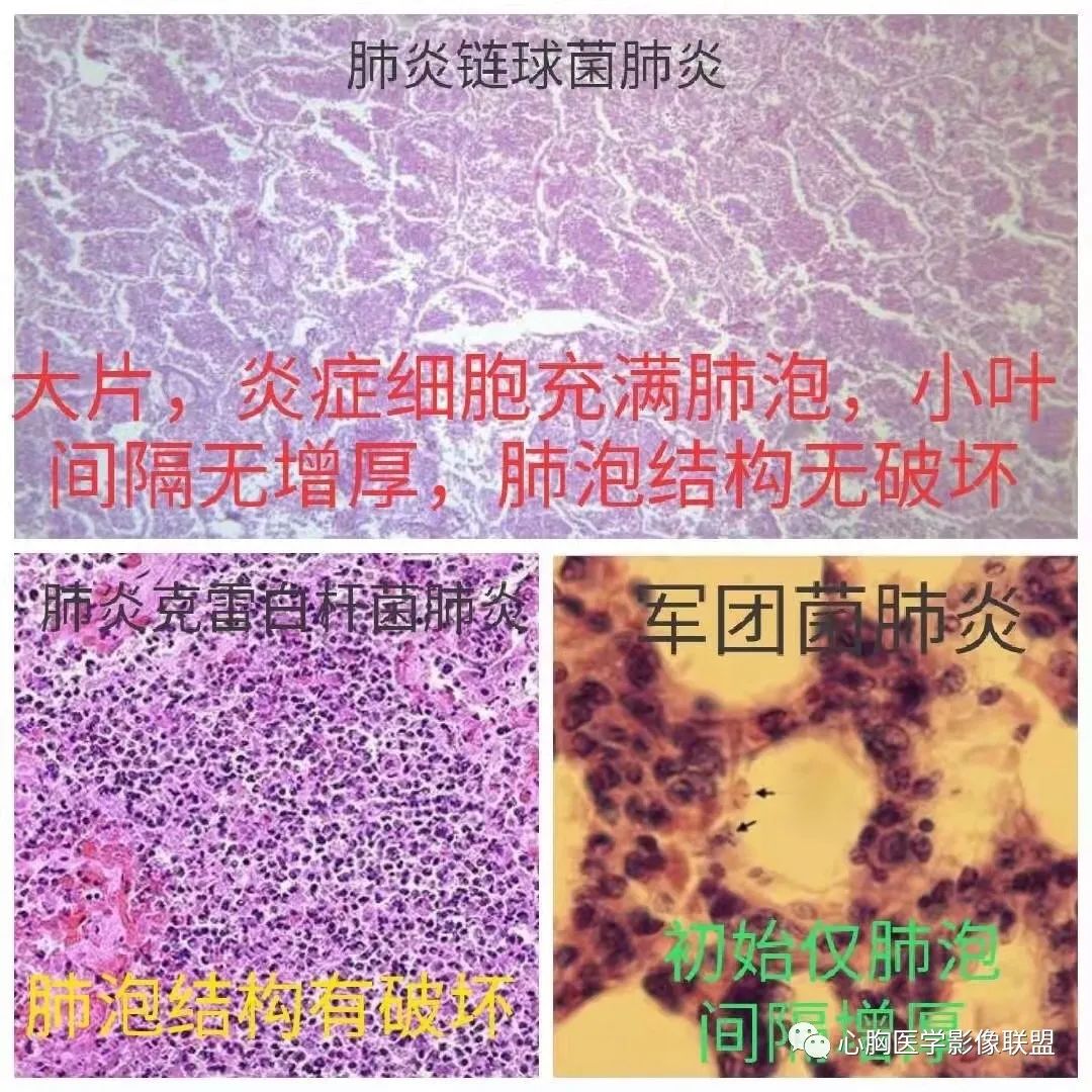 9e7fbf2f8e692e67510e0fbc6c57805d.jpg