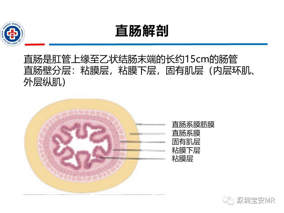 051dd0a154353c8faed5bdac7d96c2b2.png