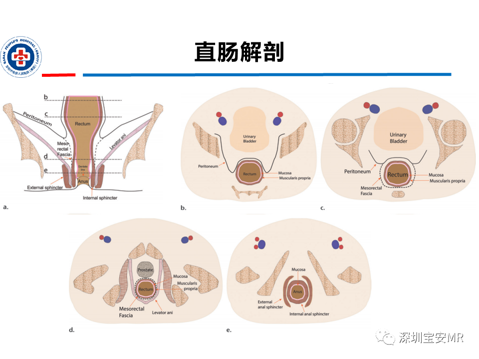 c66a8400a6a130e587af8b840c8819fc.png