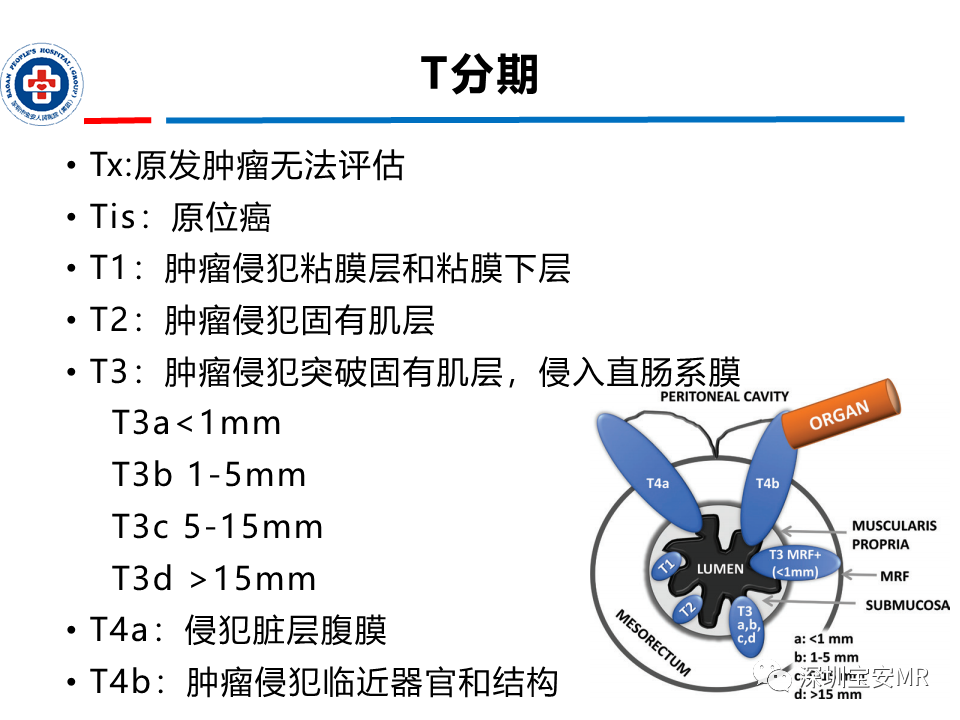 be8d1569596b047688c03acd12e970ec.png