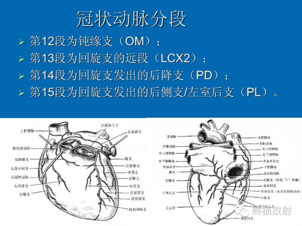88cb5788cc9a0c9bb56c611de8b4ab14.jpg