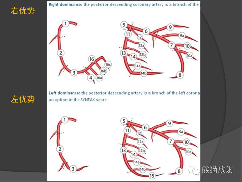 513067e1e399d05577a9a8330bfb5d2a.jpg
