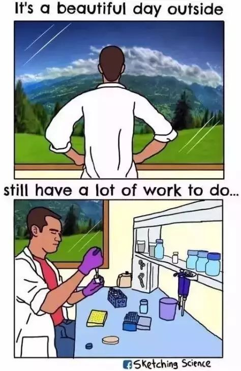 ec61b2fb5192cc80bd2e3524ddd9df59.png