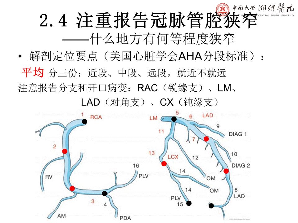 qw24.jpg