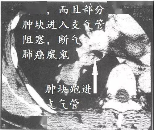 193153195518467aacc6b895147a9939.jpeg