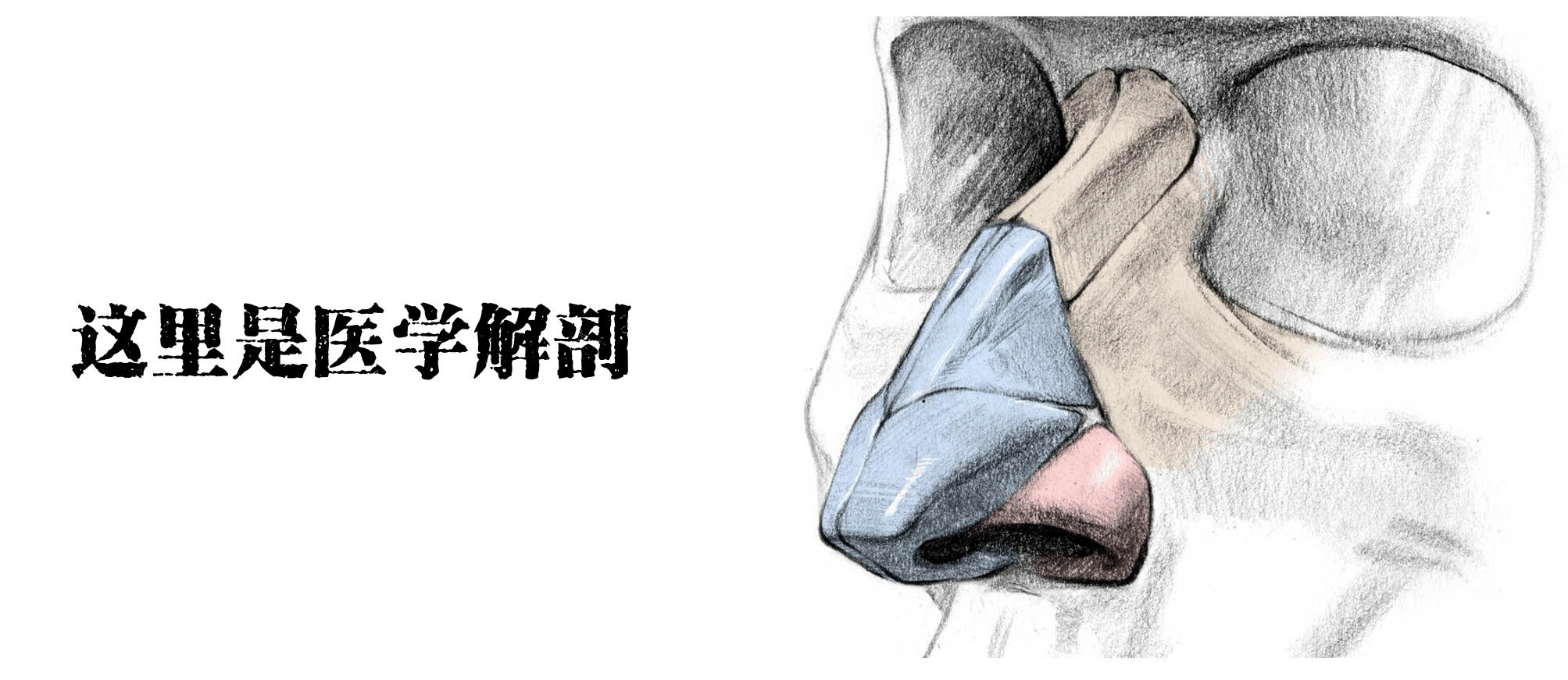 e679a409e5cd4dee36063cc7c8c1fc46.gif