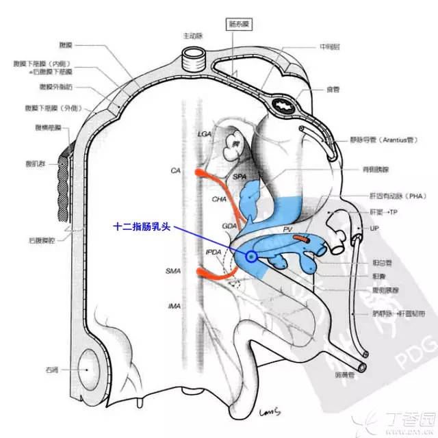 53f9c279899ce3af886309e3bc2d7eae.jpg
