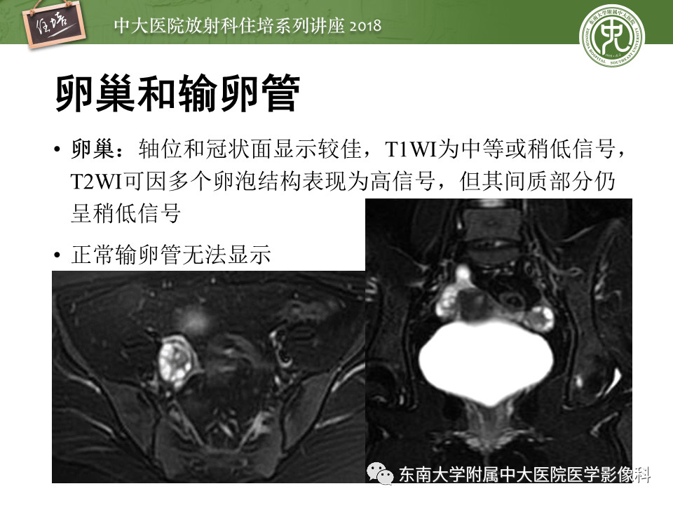 d72a824330a9dc29ac63db2c89db4149.jpg