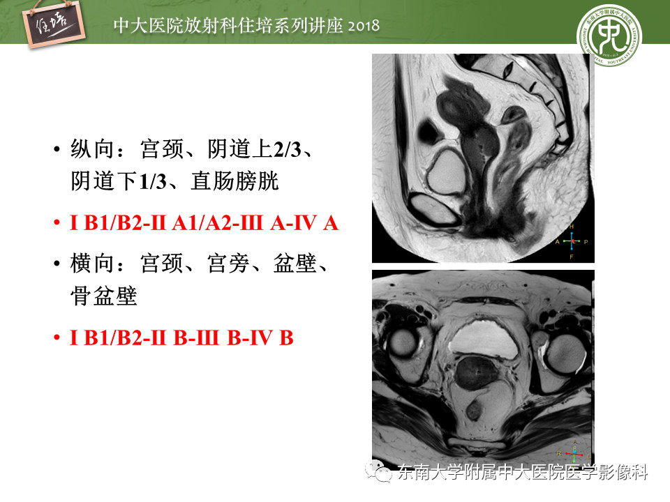 e9e9517d406c6ac63adb8a7ab3605b78.jpg
