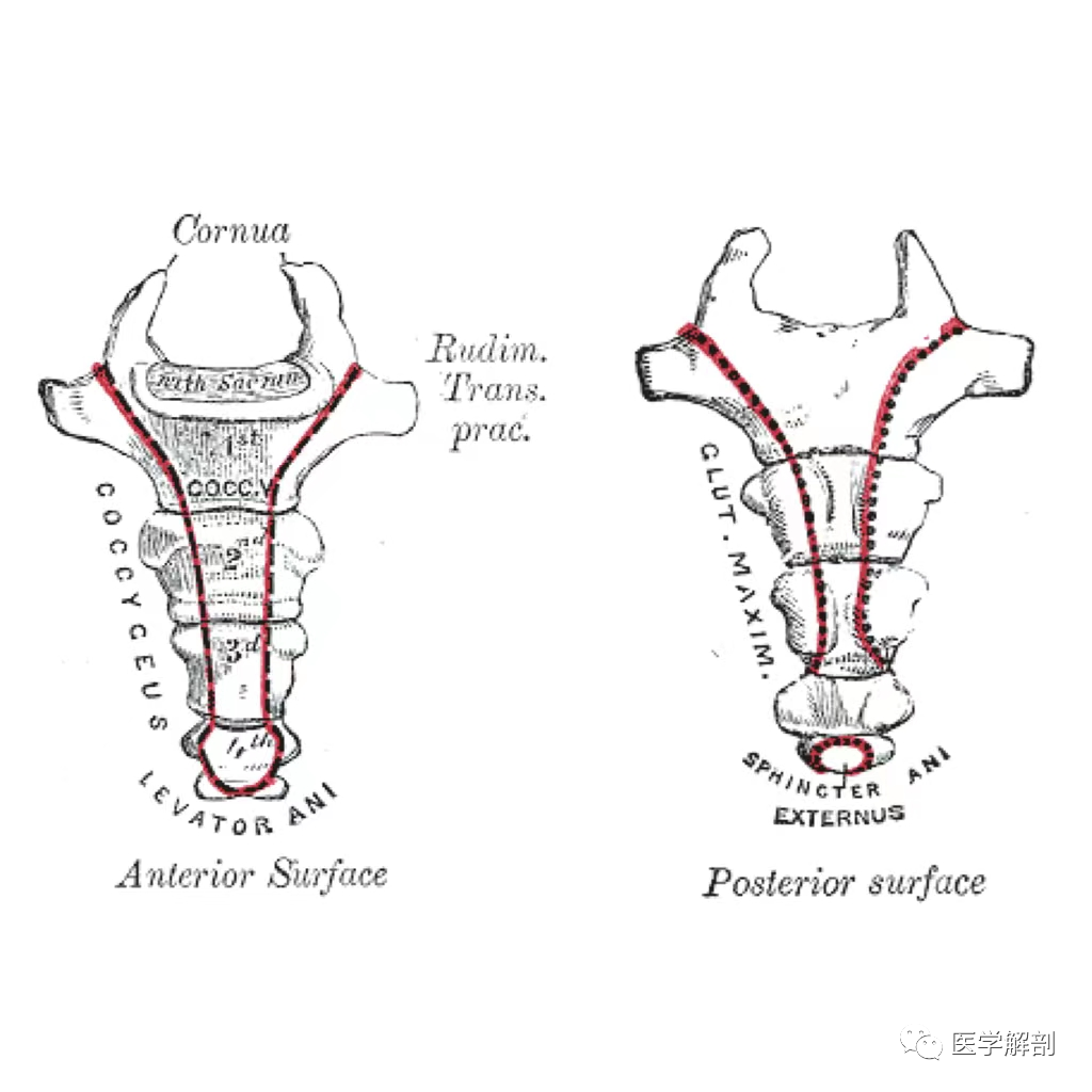 25b1e40717e04d980aa2015ab09f89ac.png
