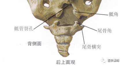 cc236a3d2c94135c1c862aeda57a3599.png