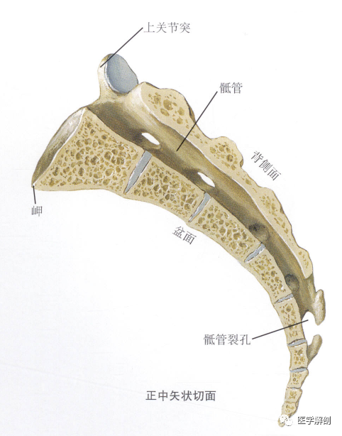 07e220b7fdecd15eb821896d37352e98.png