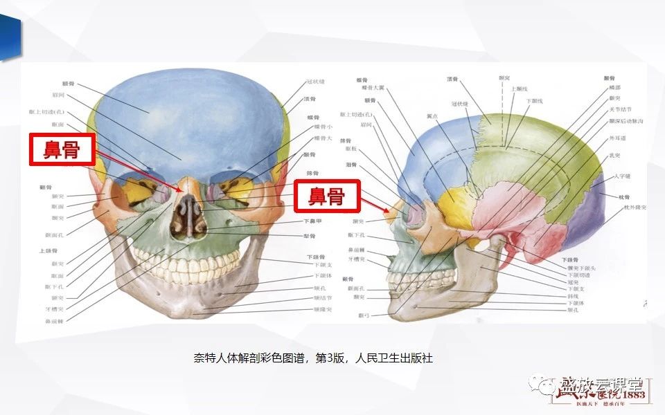 9cd09ba3253d4185a2ac896139ccb55c.jpg