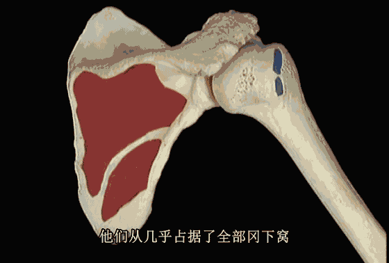 304ad234dc864fda411edef510eb1ae1.gif