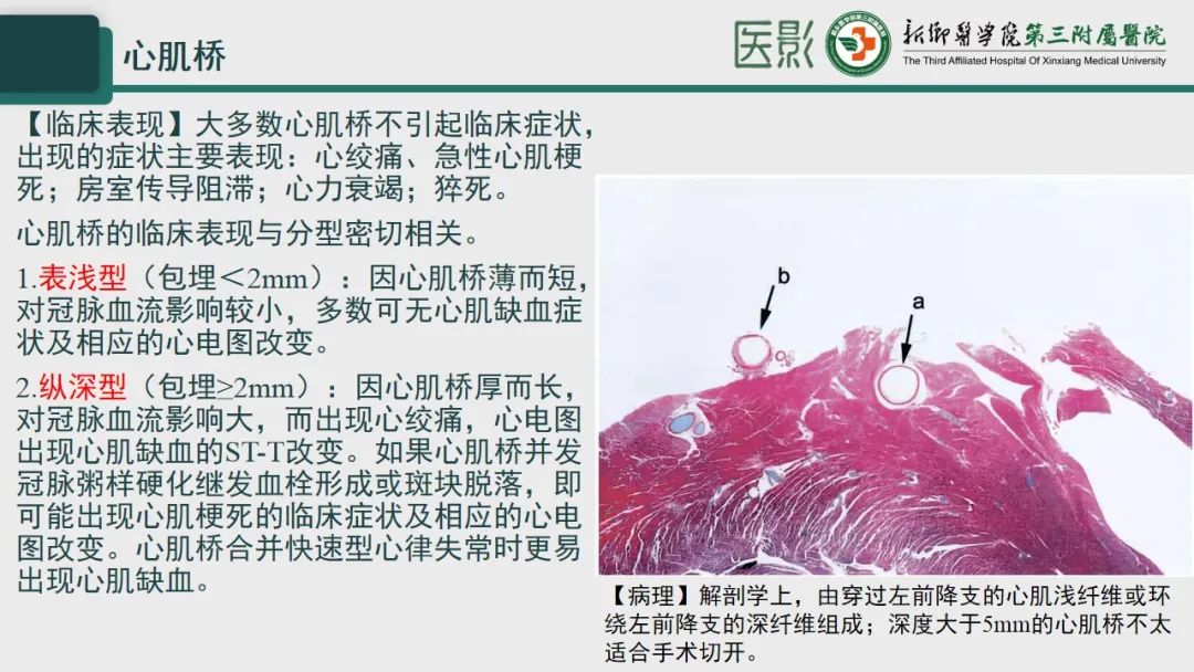cfd77c57689ab8b795d8bd5f45675cf7.jpg