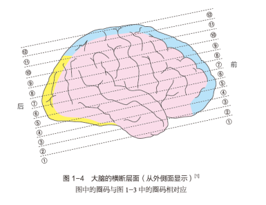 59288b2d629176074934e768c14b5576.png