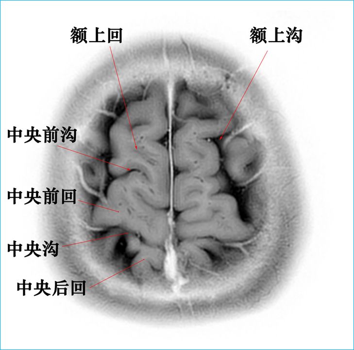 qw4.jpg