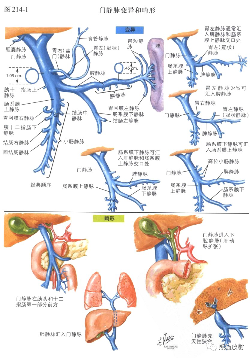 bdce14b02ba2716f13453b5cd19fa9a9.png