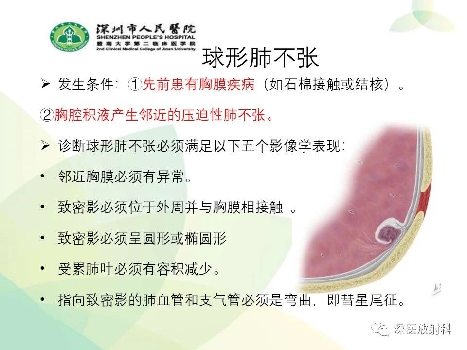 c407eb03d031ee8f16bef81a2be86dac.jpg