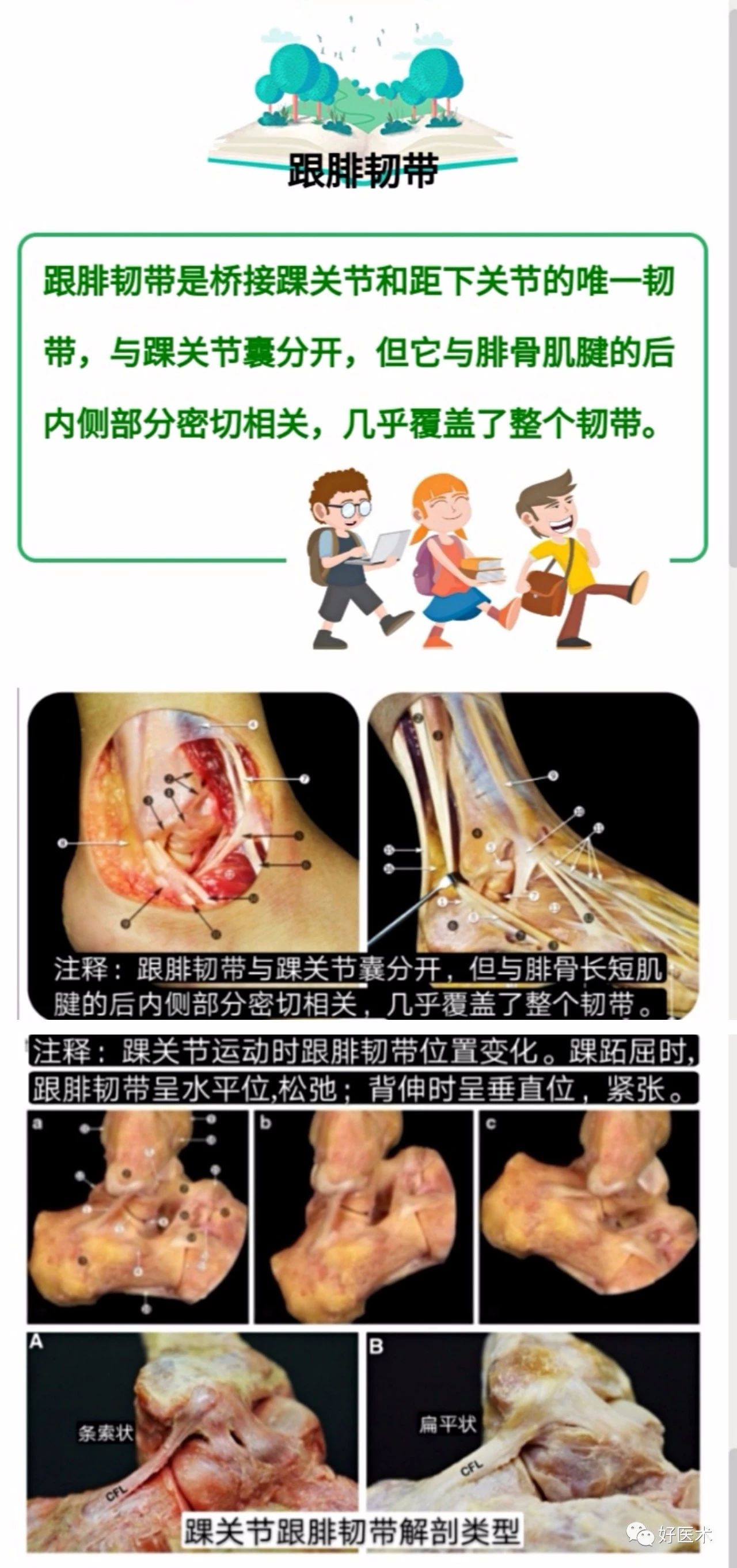f4c7a3ae213d12b88477c4738eef8cdc.jpg