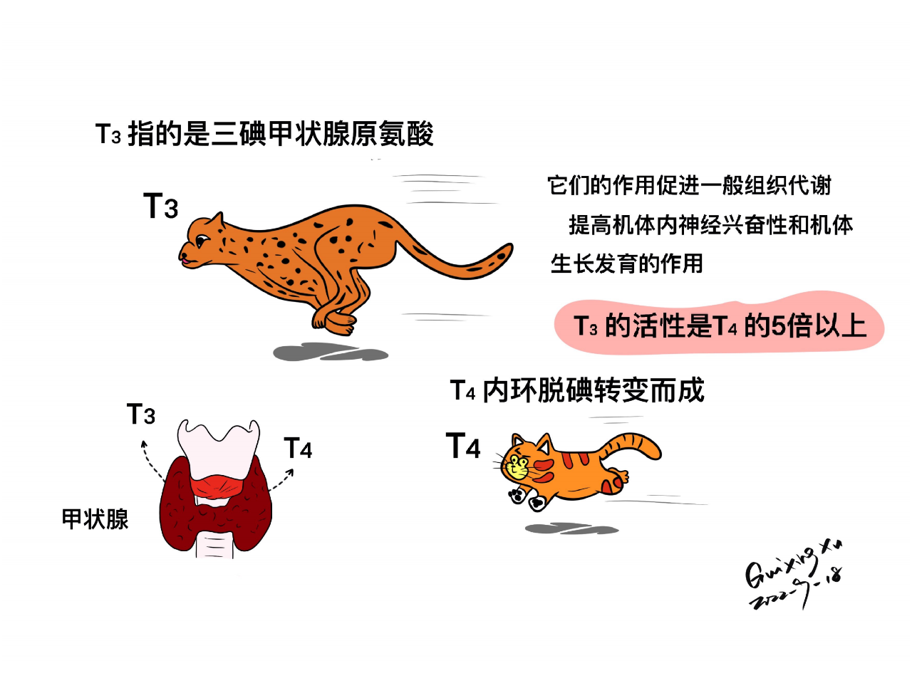 ce59c93eb9007978d80b132bf865ccce.png