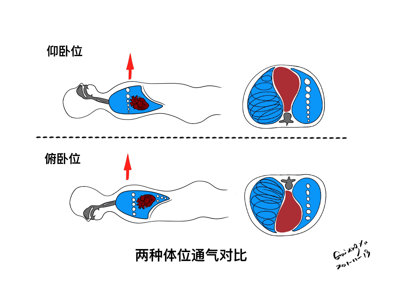 1c750fe660f17bec4e4f6aa6c8f7a3da.png