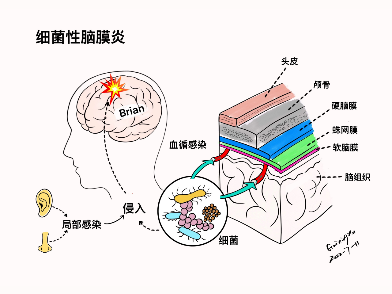 99dd3965abcab4b22106fdb19649b430.png