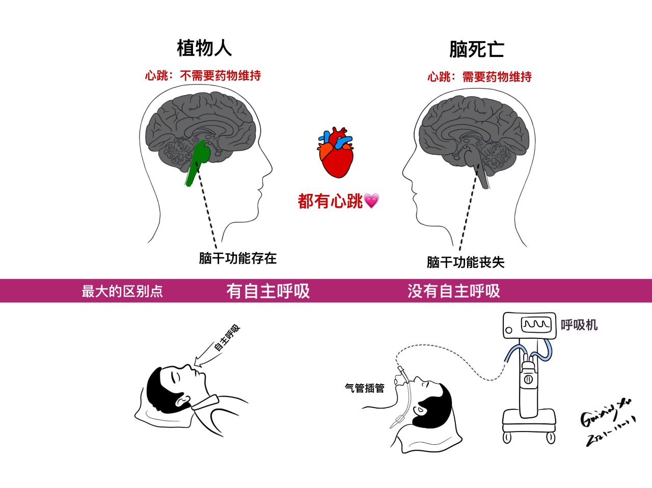 ab96e76b53a846b6d383be555bfbf4e6.png