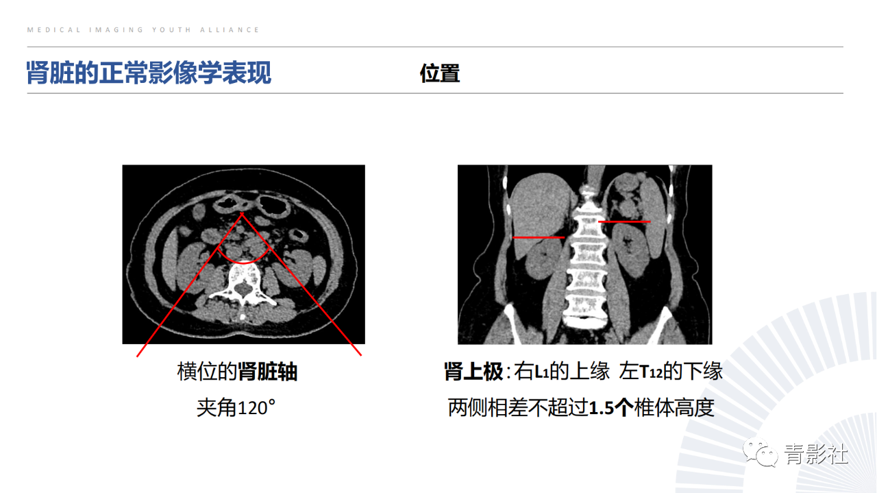 82b94241eae75715c0822f6c5b04f81a.png