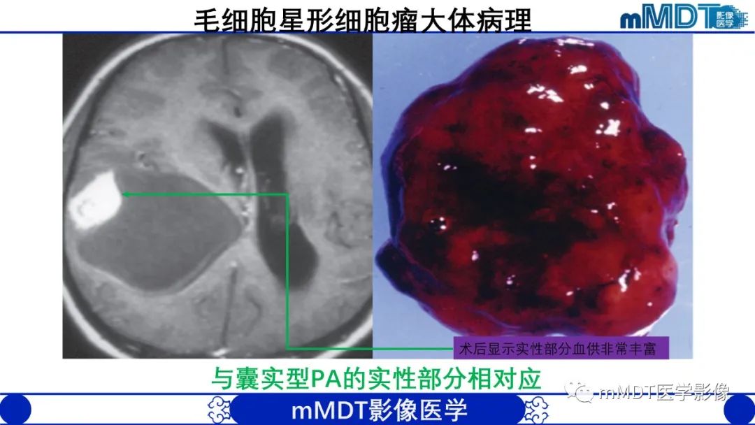 6ab8bb6840cef3810c6ccc03e608d9cd.jpg