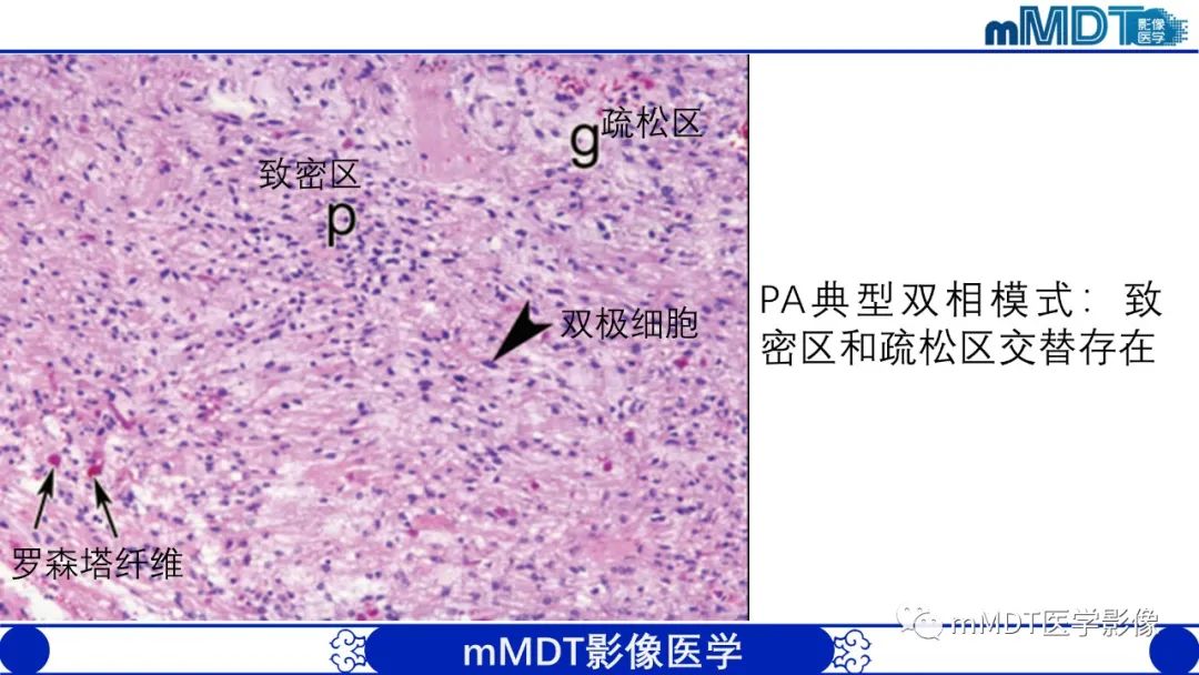 84cec4d32c6a68a72b304ece1e83da1e.jpg