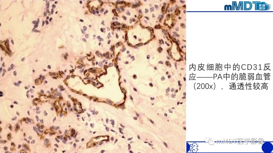 fda1d3fc4c79b29376e05e89a3c066c2.jpg