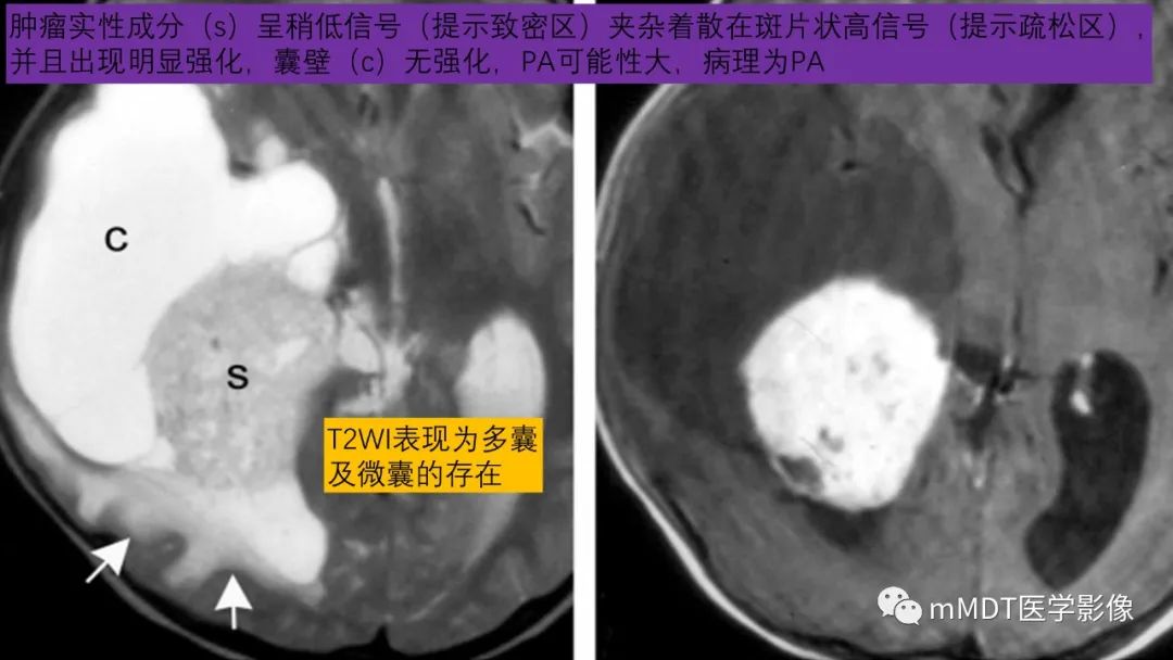 c87554fb4638f945ec6e4b74106c0797.jpg