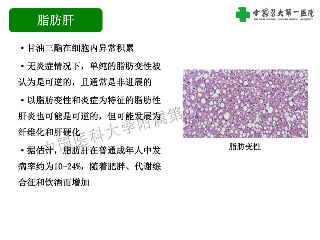 eca563e2ae094c4b9ce7b833a6b2d433.jpg
