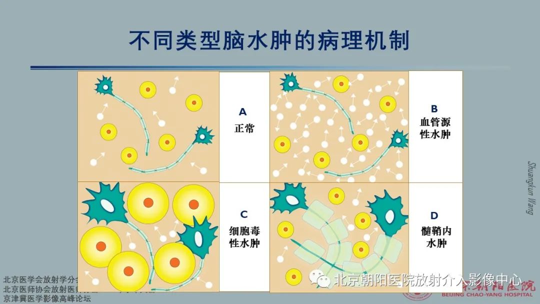 53b25ada5565db2849e2cae75dc7b7c7.jpg