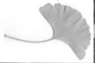 b4c6f09fdb4ee7304da8e3ae73373f93.png
