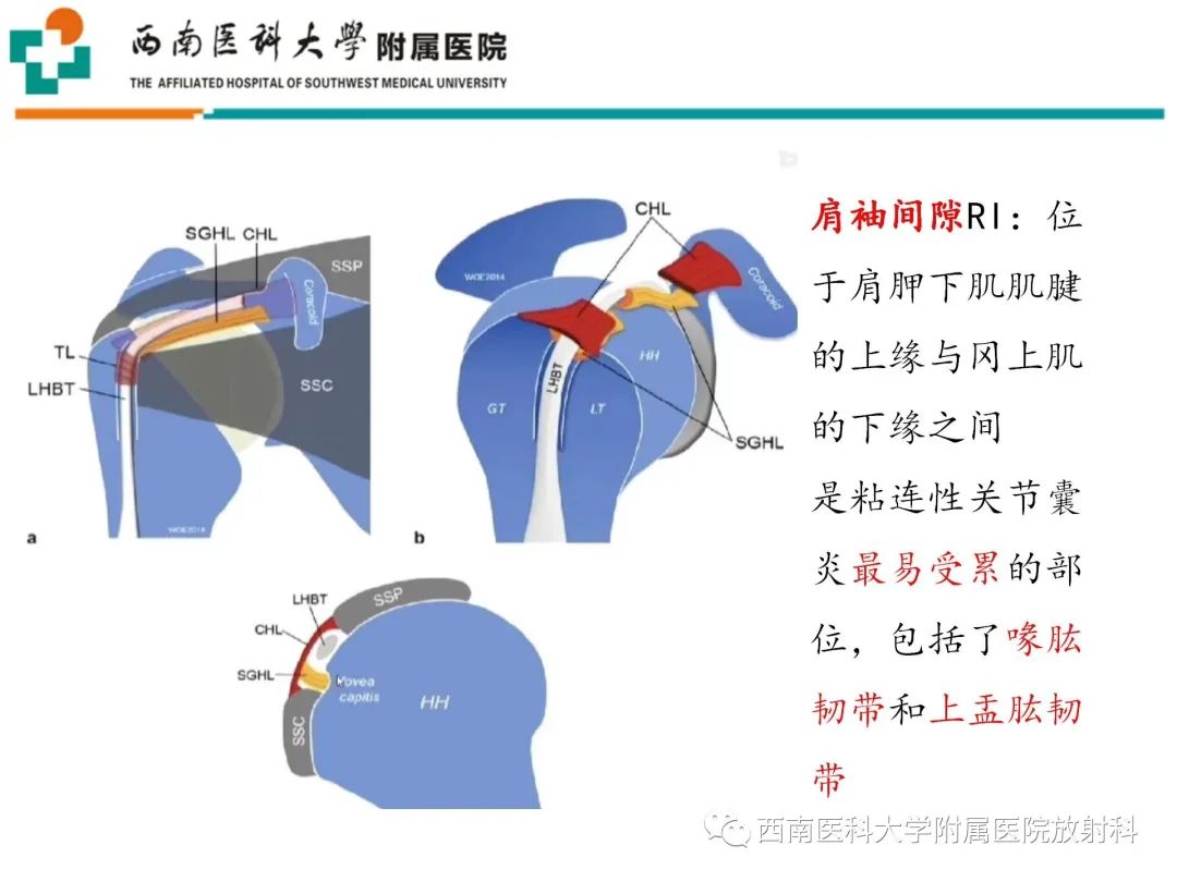 cd7bb6247ec5c18e25af0dd89c559452.jpg