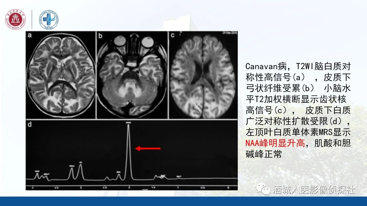 9beb11349d8cf0478d010ae8122fd43d.jpg