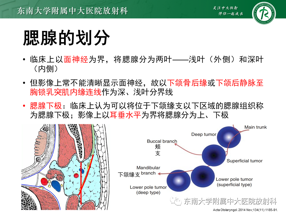 d4ddd4982a4e420bfa520330cee46f04.png