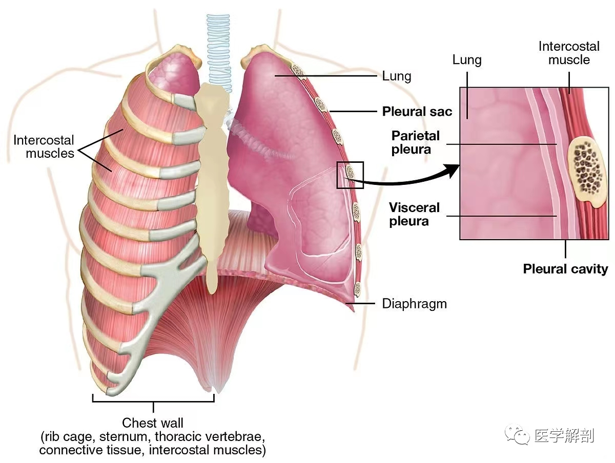ab256908d38257dfd5f02ada6302d89a.png