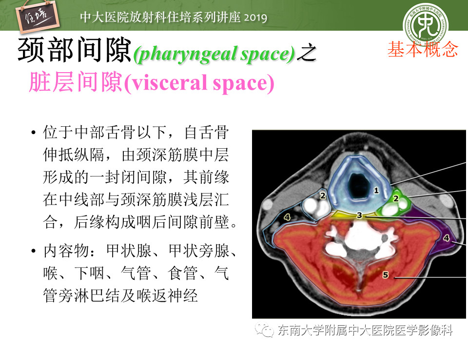 ad78784274a438a49cfc424239c82a3d.jpg