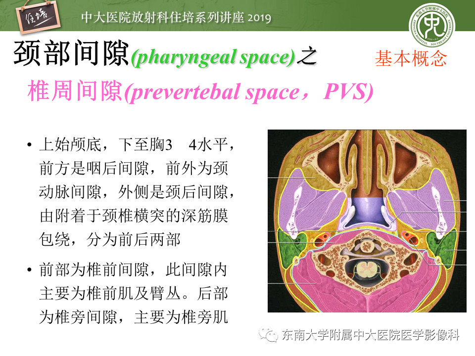 ce8dd1ac227f9f2e130921274a2dfddf.jpg