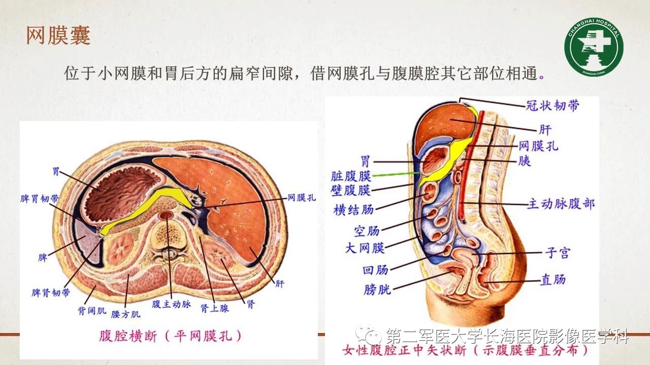af3114c94ae379d760be22d92e0f8d10.jpg