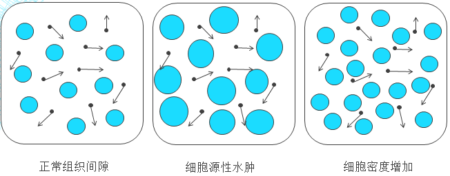 b1d33949c1d1c9d168048d61f5d62744.png