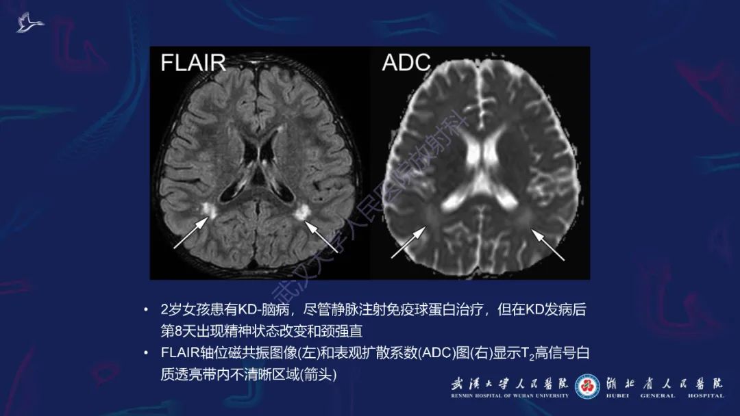0a2027baf0caa54ee2b0c7d066a69faf.jpg