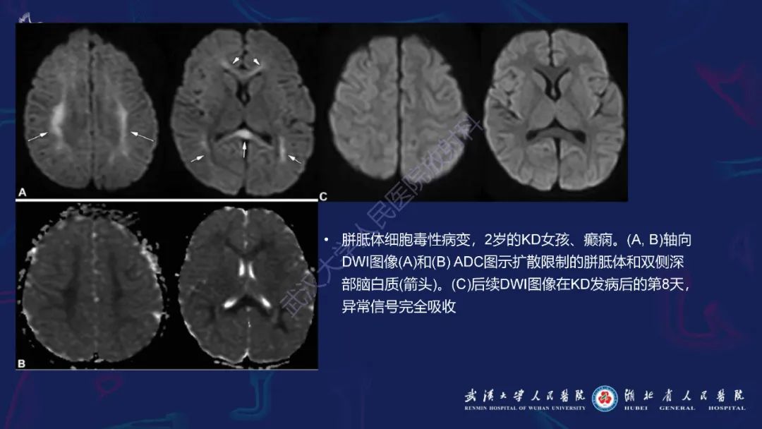 cf857abddd15a81735737dd52aa7b740.jpg